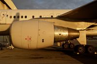 N589UA @ KSFO - SFO 2019. - by Clayton Eddy