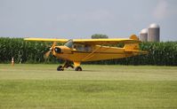 N35209 @ C55 - Piper J3C-65 - by Mark Pasqualino