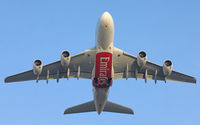 A6-EUX @ CPH - Copenhagen 20.1.2019 - by leo larsen