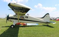 N19ZM @ OSH - U-6A Beaver - by Florida Metal