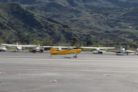 N406L photo, click to enlarge