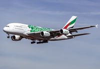 A6-EOK @ EDDF - A6-EOK - by Matthias Becker