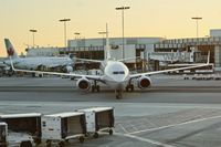 N66831 @ LAX - Parking LAX 2019. - by Clayton Eddy