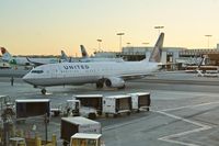 N66831 @ LAX - Parking LAX 2019. - by Clayton Eddy