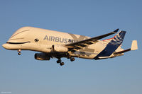 F-WBXL @ LFBO - Beluga. - by Arthur CHI YEN