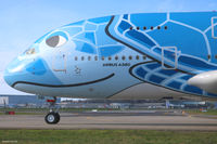 JA381A @ LFBO - ANA's first A380 with special scheme. - by Arthur CHI YEN