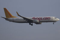 TC-IZI photo, click to enlarge