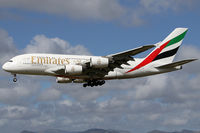 A6-EUE photo, click to enlarge