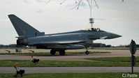 ZK371 photo, click to enlarge