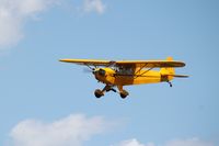 N88462 @ KLAL - Piper J3C-65