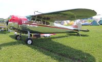 N1082D @ KOSH - Cessna 195A
