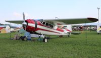 N1566D @ KOSH - Cessna 195