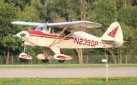N2390P @ KOSH - PA-22 - by Florida Metal