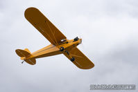 N7064H photo, click to enlarge