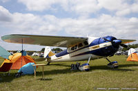 N195MK @ KLAL - Cessna 195B Businessliner  C/N 7907, N195MK - by Dariusz Jezewski www.FotoDj.com