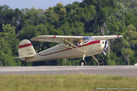 N2490N @ KLAL - Cessna 120  C/N 12743, N2490N - by Dariusz Jezewski www.FotoDj.com