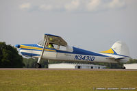 N3431D @ KLAL - Cessna 170B  C/N 26974, N3431D - by Dariusz Jezewski www.FotoDj.com