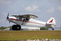 N8183C @ KLAL - Piper PA-18 Super Cub C/N 18-3642 , N8183C