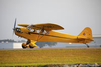 N88462 @ KLAL - Piper J3C-65 Cub  C/N 16086, NC88462