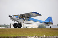 N128JS @ KLAL - Jay J Stanford Ii JS Cub  C/N 92212, NX128JS