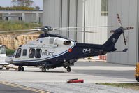 CP-8 photo, click to enlarge CP-8 photo, click to enlarge