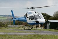 G-RIDA @ EGFP - Visiting Ecureuil 2. - by Roger Winser
