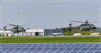 79 14 @ EDDR - Helicopters NH-90 - by Jerzy Maciaszek