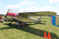 N9857A @ KOSH - Cessna 195 - by Florida Metal