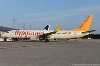 TC-CPK @ EDDK - Boeing 737-82R(W) - H9 PGT Pegasus 'Asli' - 40009 - TC-CPK - 29.08.2018 - CGN - by Ralf Winter