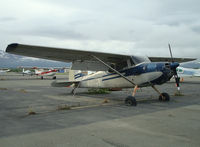N3136B @ MRI - At Merrill Field airport AK - by Jack Poelstra