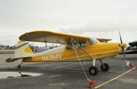 N4264V @ MRI - N4264V at Merrill Field airport AK - by Jack Poelstra