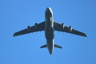 86-0026 @ KOSH - Air Venture 2018 - by Florida Metal