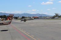 N1813Y photo, click to enlarge
