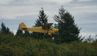 N7248K @ KOLM - Landing at KOLM - by Frank Bergess