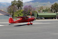 N2819N - 1947 Cessna 140, Continental C85 85 Hp, taxi - by Doug Robertson