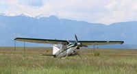 N26905 - Chilling in the grass. - by Mike Kahler
