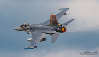 J-642 @ EHVK - Royal Netherlands Air Force Base Volkel air day 14 June 2019
Special Tail