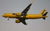 N902NK @ KTPA - TPA spotting - by Florida Metal