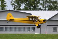 N6673H @ C77 - Piper J3C-65 - by Mark Pasqualino