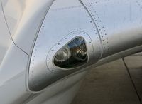 N17002 @ KSFO - SFO 2019. - by Clayton Eddy
