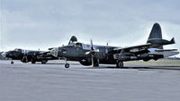 A89-280 @ YPEA - Lockheed Neptune A89-280 and A89-278 10 sqn RAAF Base Pearce. Western Australia. Taken 1965-1968. - by kurtfinger
