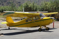 N83247 @ SZP - 1946 Aeronca 7AC CHAMPION, Continental A&C65 65 Hp - by Doug Robertson