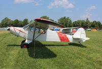 N148T @ KOSH - Piper PA-18-105 Special - by Mark Pasqualino