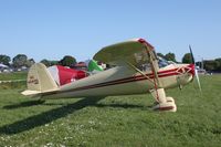 N45896 @ KOSH - Luscombe 8A - by Mark Pasqualino