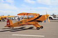 N8TE @ KCGZ - Cactus fly in - by olivier Cortot