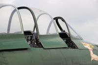 F-AZKG @ LFFQ - North American T-28A Fennec, Cockpit close up view, La Ferté-Alais airfield (LFFQ) Airshow 2015 - by Yves-Q