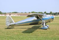 N71768 @ KOSH - Luscombe 8A - by Mark Pasqualino