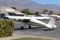 N45488 @ SZP - 1946 Luscombe 8A, Continental A&C-65 65 Hp, at Fuel Dock - by Doug Robertson