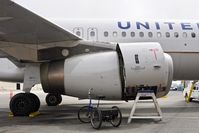 N493UA @ KSFO - SFO 2019. - by Clayton Eddy