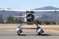 N4600Y @ KSTS - Beautiful beaver - by olivier Cortot